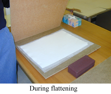 Papers shown between open cardboard flattener with caption "During flattening".